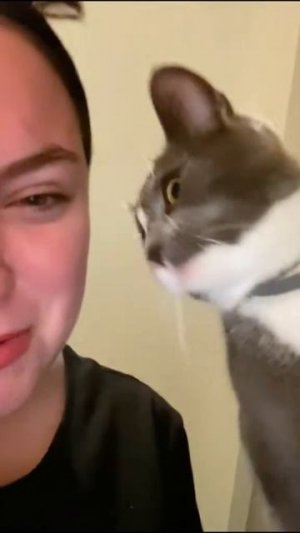 Смена режима