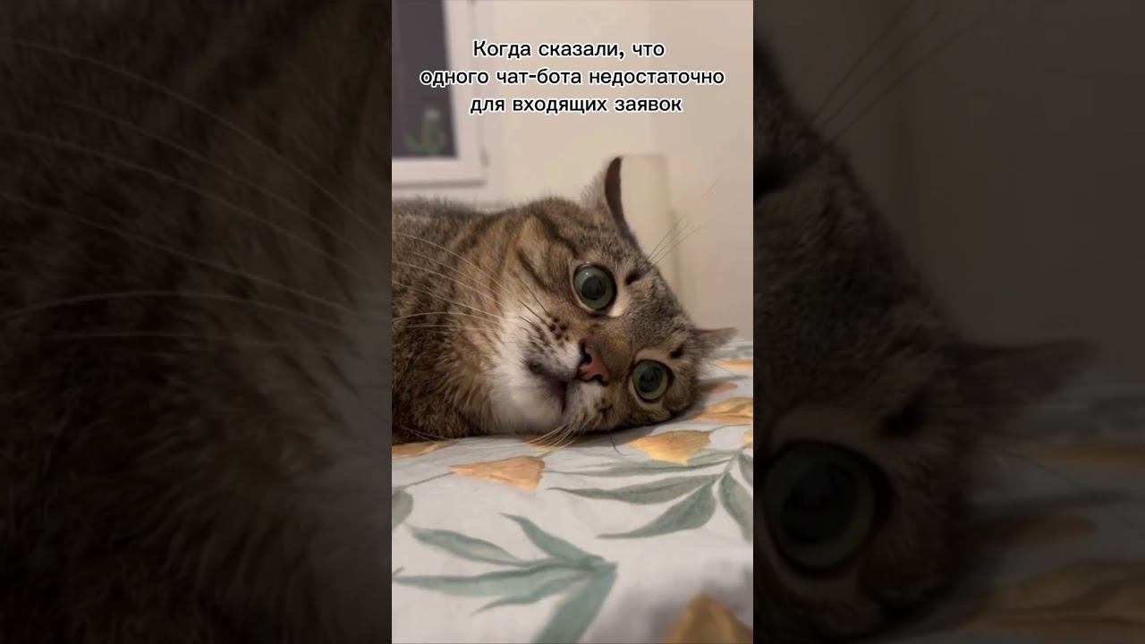 Чат бот. Не надо! (Читай комментарий) смотреть онлайн