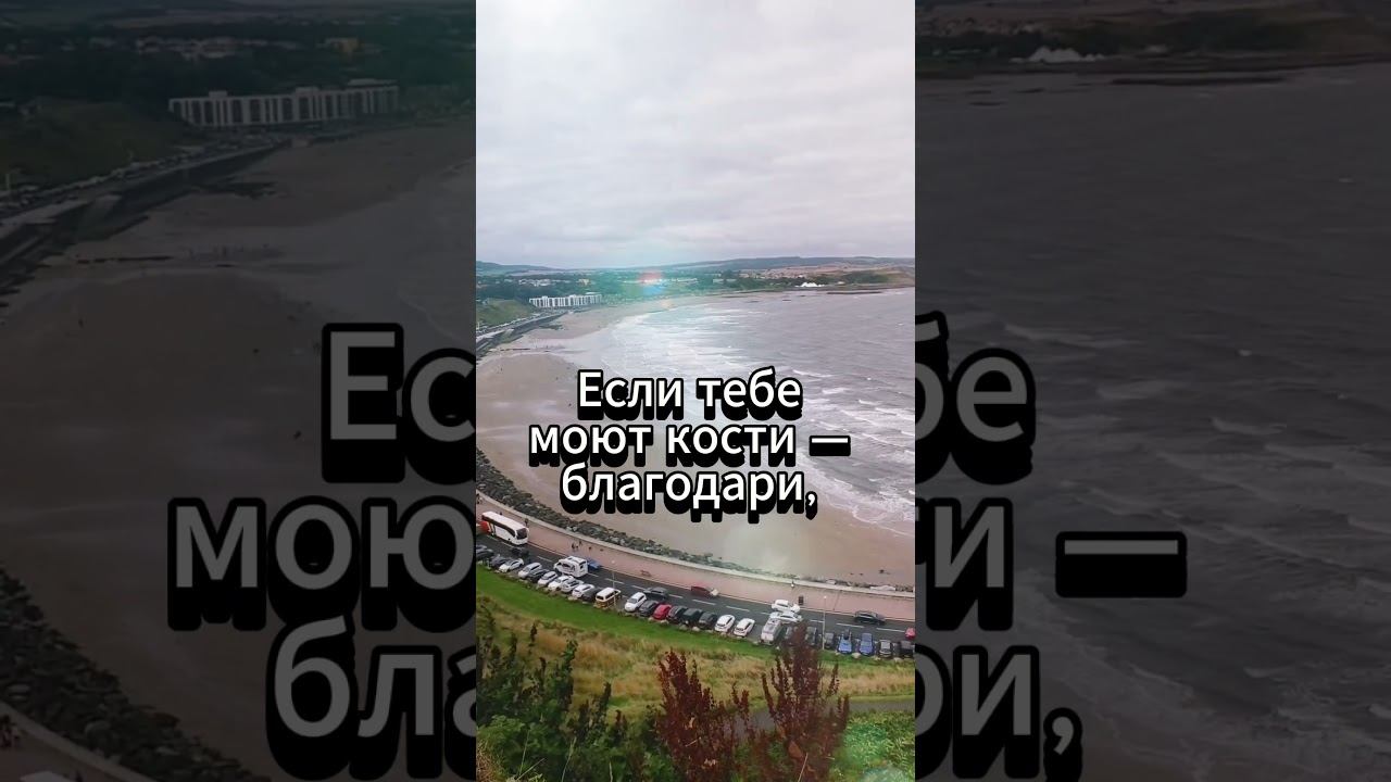 #shorts Если тебе роют яму смотреть онлайн