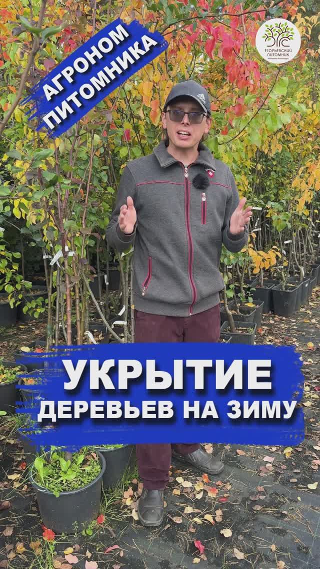 Укрытие молодых посадок на зиму смотреть онлайн