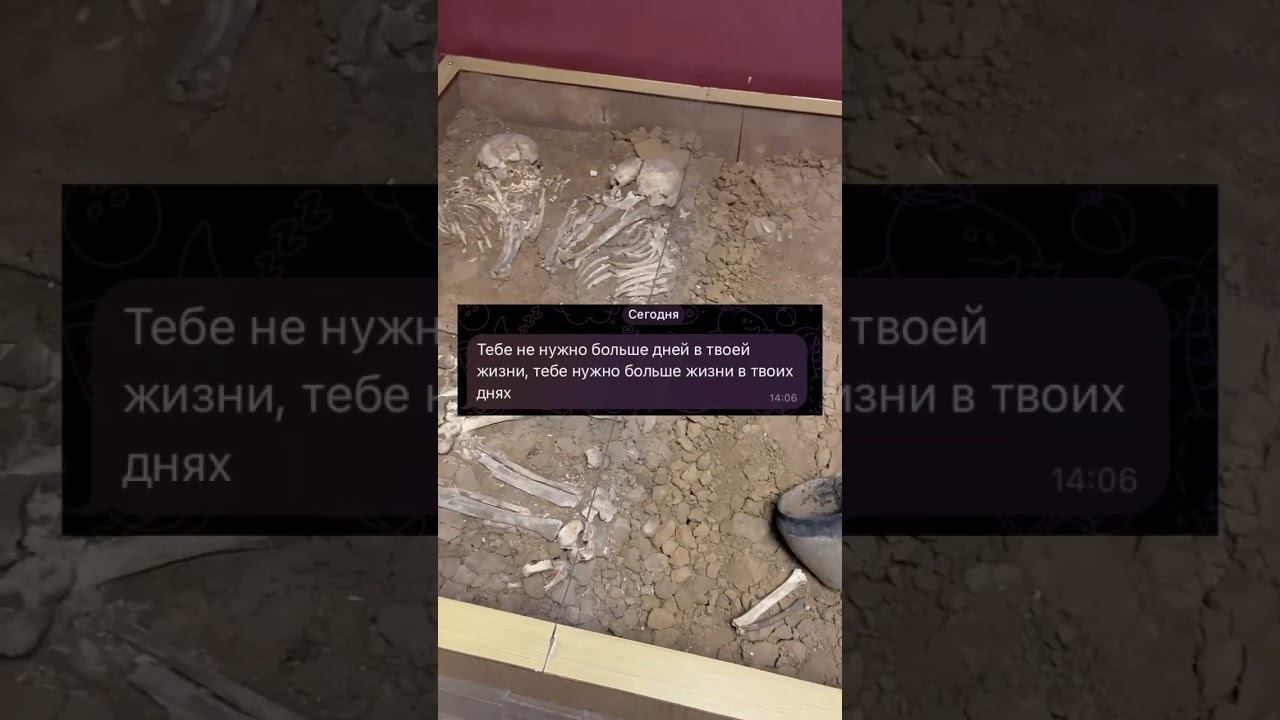 ♥️ смотреть онлайн