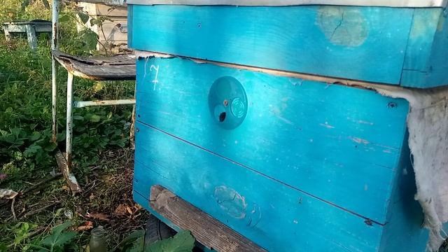 подвожу итоги сезона