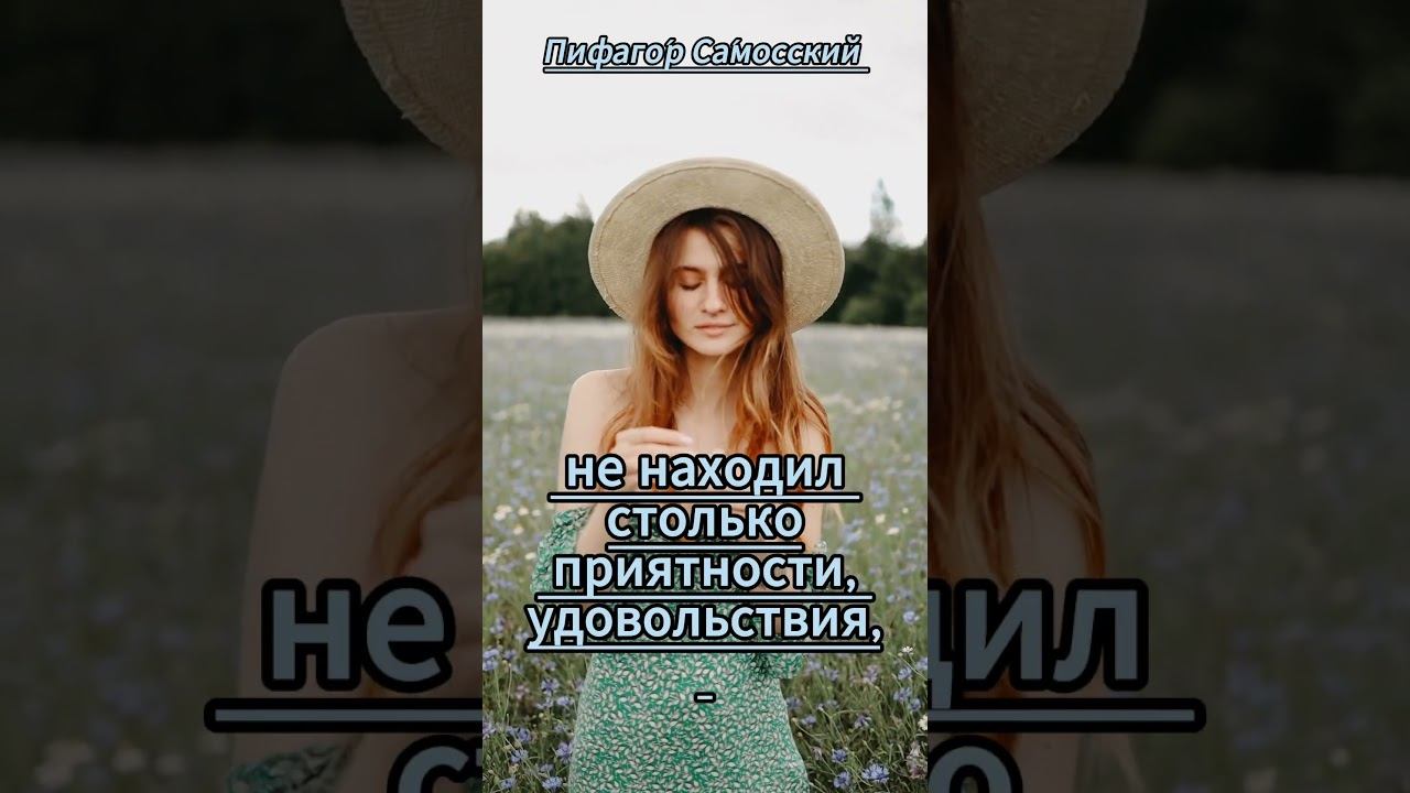 #shorts Благоразумная супруга! смотреть онлайн