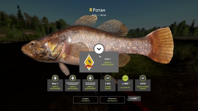 ⭐Трофейный Ротан на Ультралайт ⭐Русская Рыбалка 4.