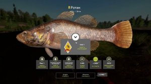 ⭐Трофейный Ротан на Ультралайт ⭐Русская Рыбалка 4.