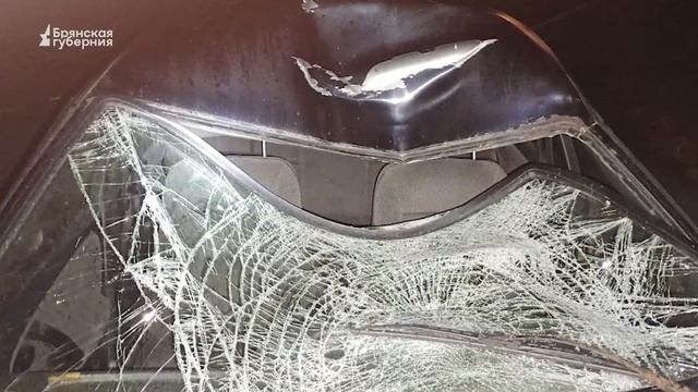 БГ. В ДТП погиб велосипедист смотреть онлайн