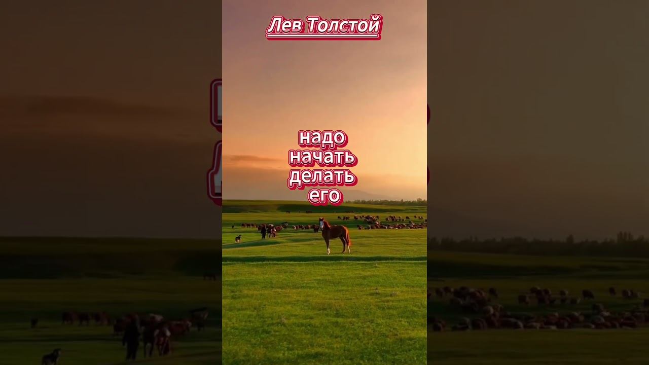 #shorts Чтобы поверить в добро..Толстой смотреть онлайн