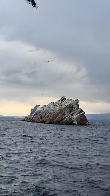 Байкал. День 2 смотреть онлайн