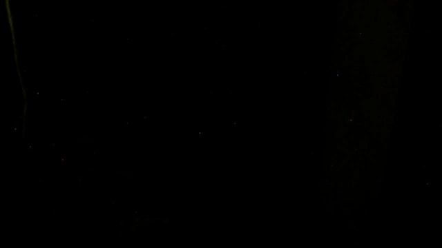 Куриный урожай 26 сентября 2025 - вне гнёзд