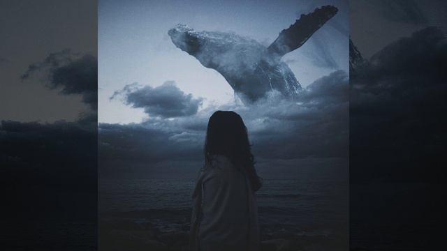 SymphoCat - Long Whale Song смотреть онлайн