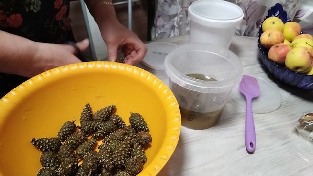 Сосновые шишки в мёде 👍 смотреть онлайн