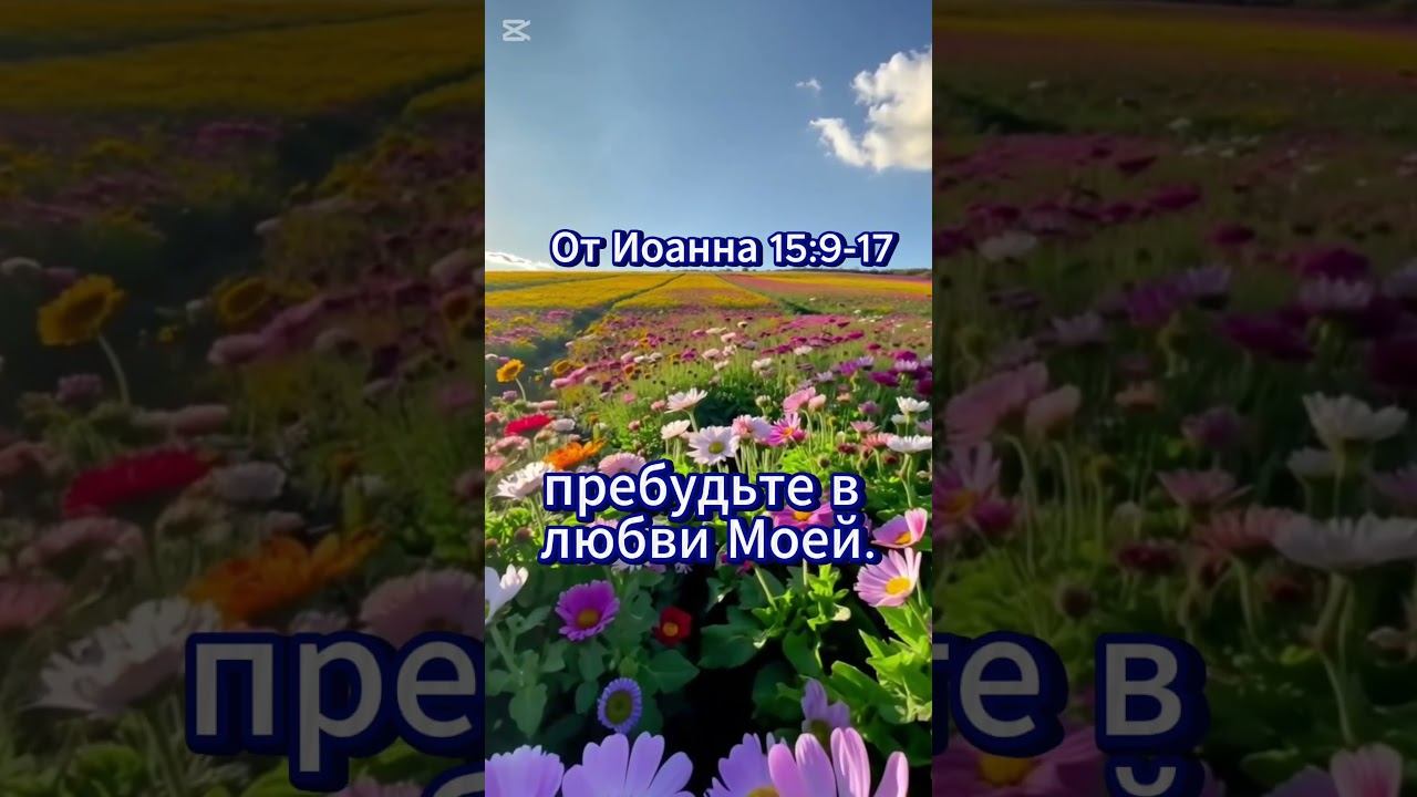 От Иоанна 15 :9 - 17 смотреть онлайн