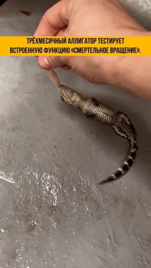 Смертельное вращение #shorts