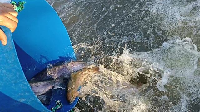 1000082692.mp4 смотреть онлайн