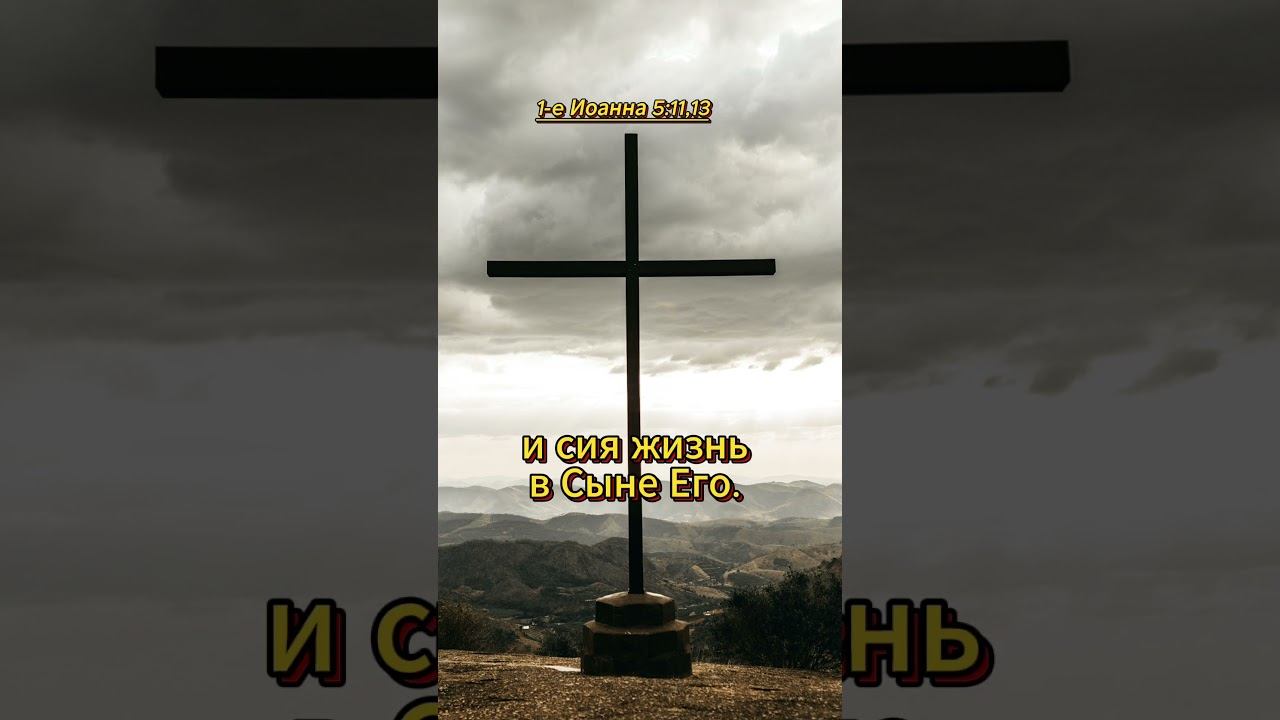 #shorts 1-e Иоанна 5:11,13 смотреть онлайн