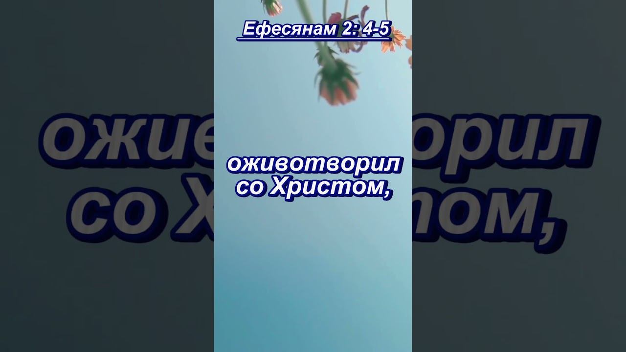#shorts Ефесянам 2 4 5 #мудрость смотреть онлайн