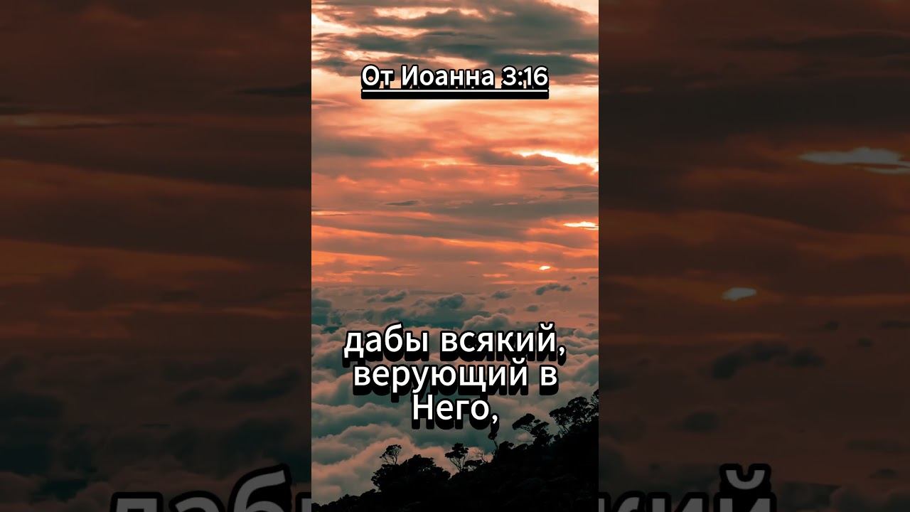 #shorts. Евангелие От Иоанна 3:16 смотреть онлайн