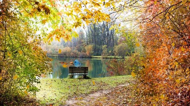 ФУТАЖ - ОСЕННЯЯ ПРИРОДА смотреть онлайн