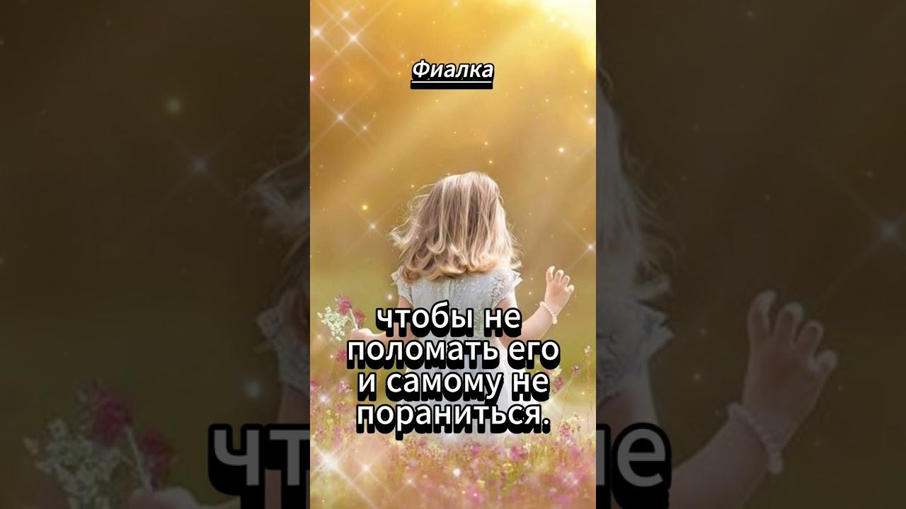 #shorts Дети - цветы жизни... смотреть онлайн