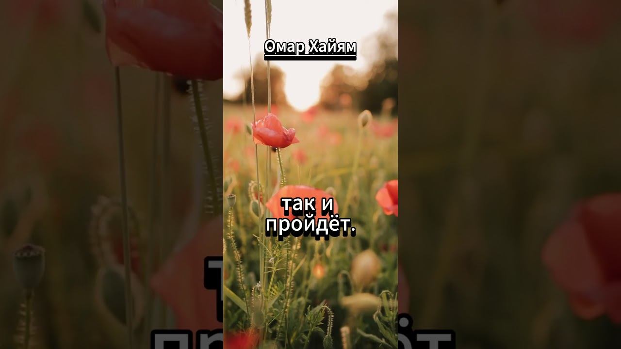 #shorts Жизнь пронесется #мудрость смотреть онлайн