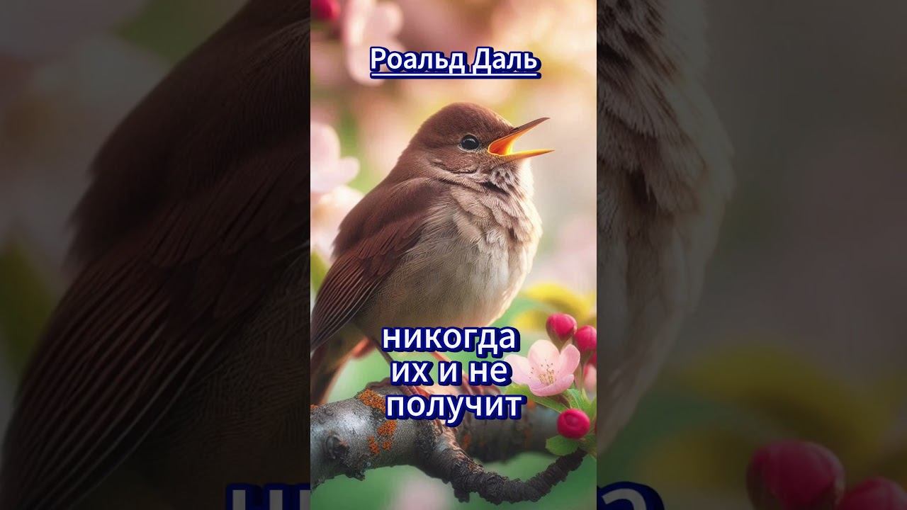 #shorts Роальд Даль смотреть онлайн