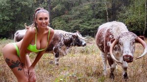 ✅ РУССКИЕ ПРИКОЛЫ — ПОРВАЛИ ВСЮ СЕТЬ! 🔥