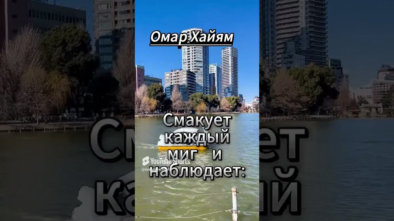 #shorts Кто понял жизнь смотреть онлайн