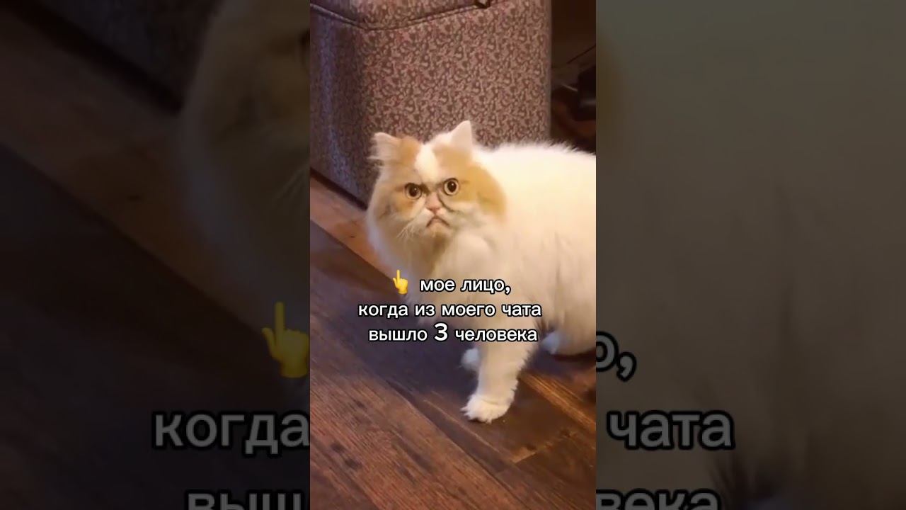  смотреть онлайн