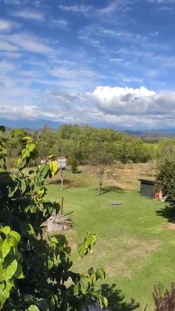 💥Продается уникальный земельный комплекс в с. Дранда, Гулрыпшский район. 💥