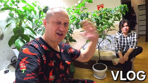 VLOG' КАСТРЮЛЯ ЗА 7000 РУБ | ЗАНЕСЛИ КАРОЛИНУ РИПЕР В ДОМ