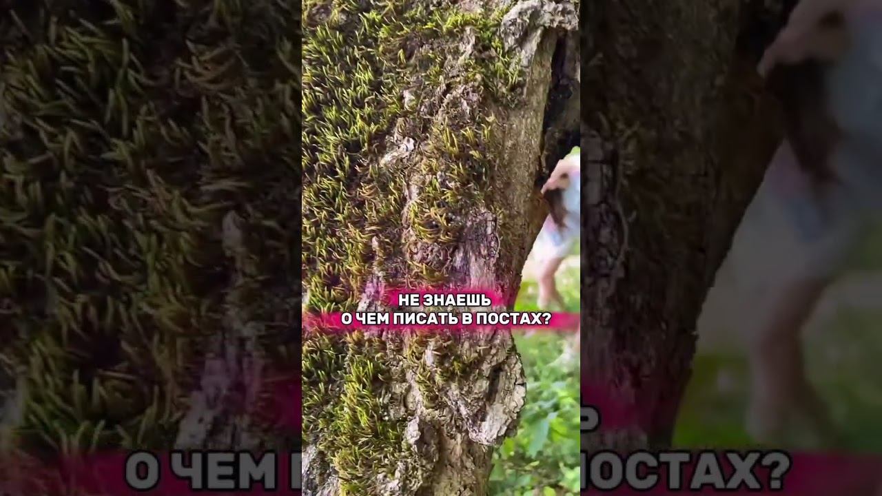 Готовые посты (смотри комментарии) смотреть онлайн