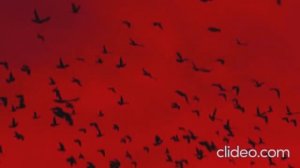 Я В ЛЕС БЕЖАЛ ИЗ ГОРОДОВ