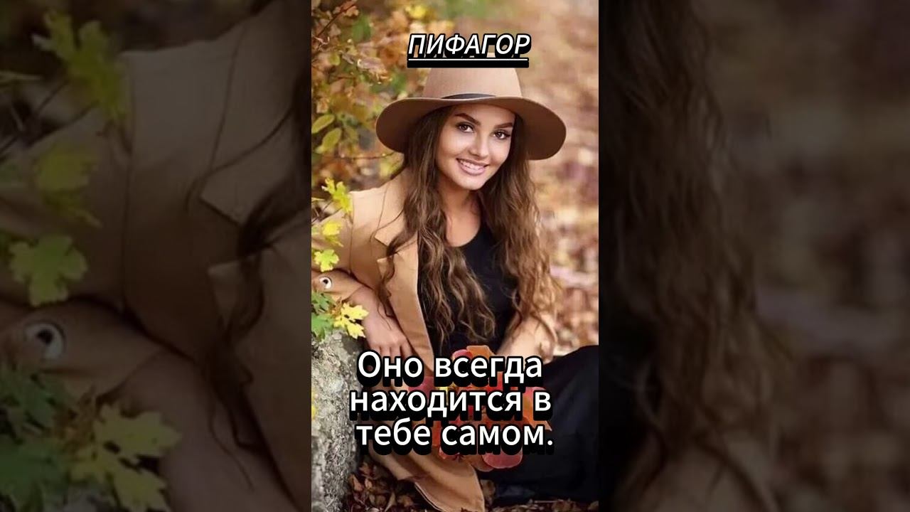 #shorts Не гоняйся за счастьем... ПИФАГОР смотреть онлайн