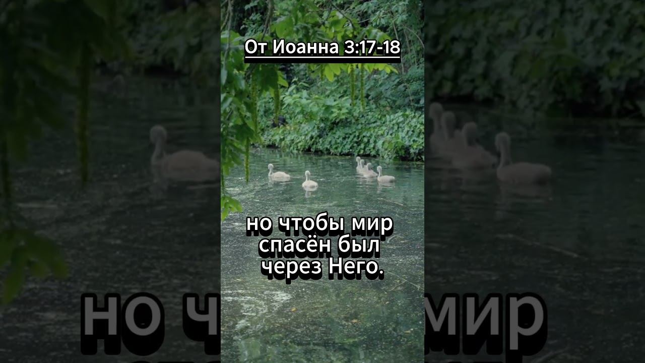 #shorts От Иоанна 3 17 18 смотреть онлайн