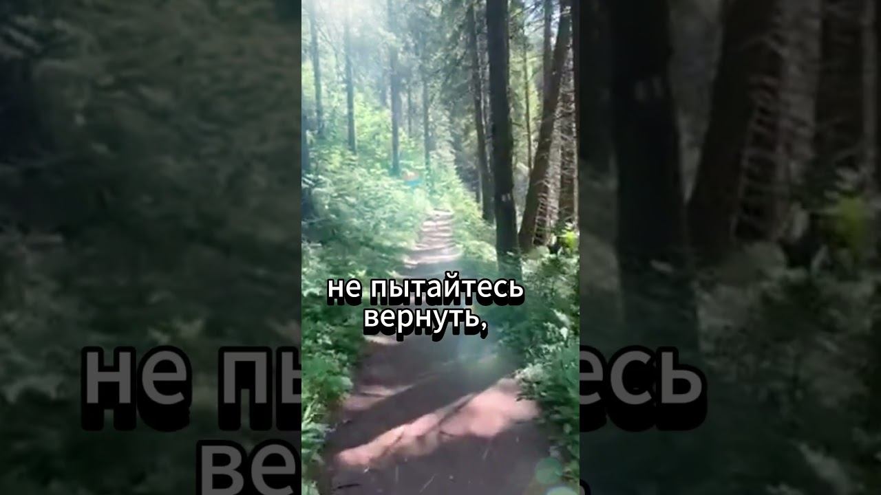 #shorts Всё, что не с вами смотреть онлайн