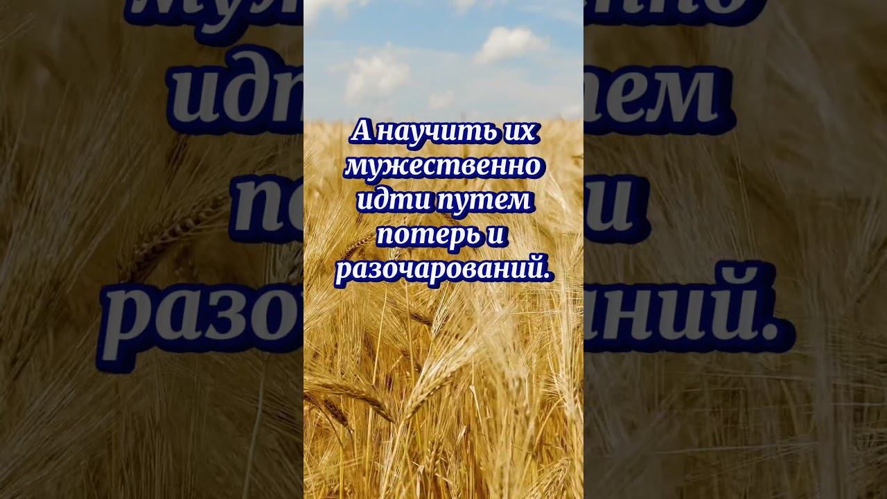 Сеющий доброе семя смотреть онлайн