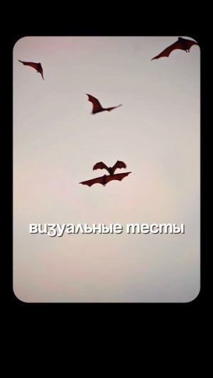 Зеркальный Тест | Глеб Соломин,Алипов,Дробышевский #подкаст