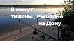 Рыбалка на сазана в Волгоградской области!