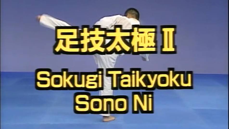Сокуги Тайкиоку Соно Ни - Ката Карате Кёкусинкай (Kata Sokugi Taikyoku Sono Ni - 足技太極二段) v.1 смотреть онлайн