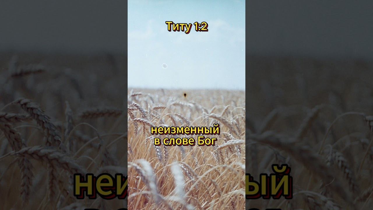#shorts Титу 1:2 смотреть онлайн