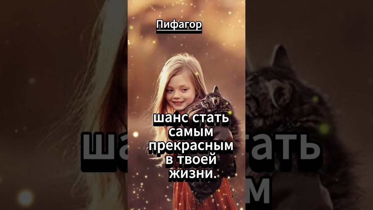 #shorts Дай каждому дню смотреть онлайн