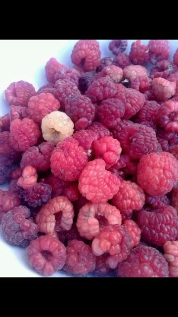 Пойдем покажу что ты тоже можешь вырастить САМ!! 😉