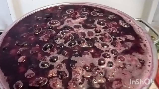 /варю виноградный сок/заготовки на зиму/дача в Крыму/ смотреть онлайн