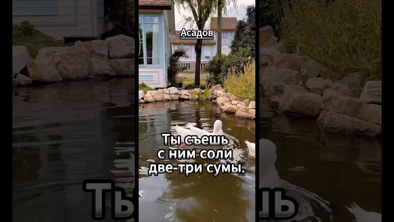 #shorts Эдуард Асадов - Чтоб обрести друга смотреть онлайн