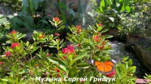 🔊Музыка Для Души🔊 ,,ЖИЗНЬ ИДЁТ,,🔊Музыка Сергей Грищук🔊 (1)