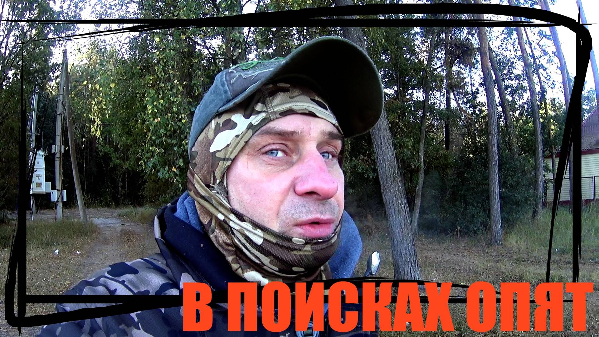 ПРОГУЛКА ПО ЛЕСУ ВДРУГ ГРИБЫ ОСТАЛИСЬ