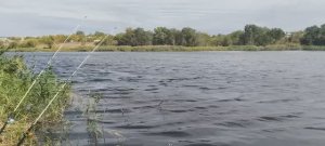 Рыбалка на реке Северский Донец клюнул лещ