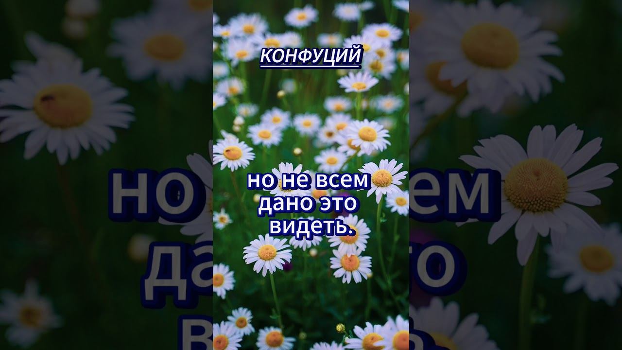 #shorts Красота есть во всём, смотреть онлайн