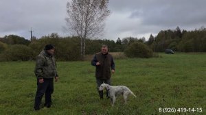 Тренировка молодых собак