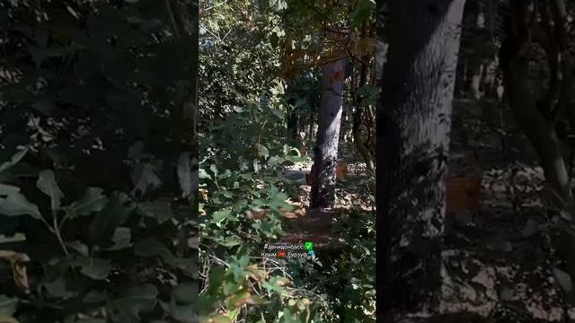 ГДЕ РАЙ В РОССИИ? ОТВЕТ ТУТ